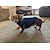 Χαμηλού Κόστους Ρούχα για σκύλους-2 στρώσεις ζεστό μπουφάν σκύλου με επένδυση fleece για κουτάβια χειμωνιάτικο κρύο καιρό, μαλακό αντιανεμικό παλτό για μικρό σκύλο