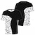 abordables Hauts déguisements de manga-101 Dalmatiens Cruella De Vil Manches Ajustées Anime Dessin Animé Animé 3D 3D Harajuku Art graphique Pour Couple Unisexe Adulte Rentrée scolaire Impression 3D