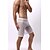 cheap Men&#039;s Exotic Underwear-Men&#039;s 1pack Boxers Underwear Mesh Nylon Spandex Pure Color Mid Waist Black White