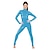 cheap Zentai Suits-Zentai Suits Cosplay Costume Catsuit Motorcycle Girl Adults&#039; Spandex Latex Cosplay Costumes Sex Sexy Costume Men&#039;s Women&#039;s Solid Colored Halloween