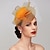 abordables Chapeaux et coiffes-plumes / filet fascinators kentucky derby hat / casque avec plume / casquette / fleur 1 pc mariage / course de chevaux / casque de jour pour dames