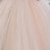 cheap Party Dresses-Kids Little Girls&#039; Dress Graphic Solid Colored Flower A Line Dress Party Birthday Ruched Mesh Lace Beige Maxi Sleeveless Princess Cute Dresses Fall Spring Regular Fit 2-8 Years