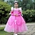 preiswerte Kostüme aus Film und Fernsehen-Vintage Kleid Partykostüm Prinzessin Ziemlich Mädchen Feste Farbe Kinder Kleid