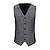 cheap Great Gatsby-The Great Gatsby Classical Retro Vintage 1920s Vest Men&#039;s Costume Vintage Cosplay Party Prom Sleeveless Vest Carnival