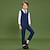 cheap Boys&#039; Clothing Sets-Kids Toddler Boys Suit Vest Shirt &amp; Pants Formal Set Long Sleeve 4 Pieces Navy Blue Party Street Regular Active Basic 2-6 Years / Summer
