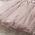 cheap Dresses-Kids Girls&#039; Embroidered Flowers Dress Mesh Tulle Dress Casual Floral Blushing Pink Above Knee Long Sleeve Elegant Lace Princess Dresses Fall Spring 2-8 Years / Summer / Cute
