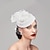 Χαμηλού Κόστους Fascinators-fascinators kentucky derby headpiece feathers net pillbox καπέλο γάμου του Αγίου Βαλεντίνου ημέρα του Αγίου Βαλεντίνου γυναικεία ιπποδρομία με πουπουλένιο καπάκι κεφαλή κεφαλής
