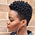 cheap Black &amp; African Wigs-Black Wigs for Women Synthetic Wig Afro Curly Wig Short Black Synthetic Hair for Black Women