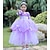 זול תחפושות בנושאי טלוויזיה וסרטים-וינטאג&#039; שמלות תחפושת למסיבה נסיכות יְפֵהפִיָה בנות בגדי ריקוד ילדים שמלה
