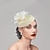 Χαμηλού Κόστους Fascinators-fascinators kentucky derby headpiece feathers net pillbox καπέλο γάμου του Αγίου Βαλεντίνου ημέρα του Αγίου Βαλεντίνου γυναικεία ιπποδρομία με πουπουλένιο καπάκι κεφαλή κεφαλής