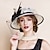 ieftine Pălării Party-artistic / retro elegant sinamay / abaca fascinators / palarii cu pene / floare / tul 1 buc toamna nunta / petrecere / seara / cana melbourne