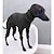 זול בגדים לכלבים-ג&#039;קט מעיל כלב חורף צמוד קפוצ&#039;ון כלב סוודר סוודר לוויפט גרייהאונד, בגדי כלבים סוודר סוודר עם צווארון גולף, חולצת טריקו חמה בגדי חיות מחמד (שחור,5xl)