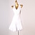 abordables Tenues de danse latine-danse salsa robe de danse latine frangé gland femme performance sans manches spandex