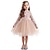 abordables Vestidos-niños niña niño encaje floral princesa rendimiento vestido formal ropa