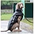 Χαμηλού Κόστους Ρούχα για σκύλους-αδιάβροχο αντιανεμικό αναστρέψιμο γιλέκο σκύλου βρετανικού στυλ χειμερινό παλτό ζεστό ένδυμα σκύλου για κρύο μπουφάν σκύλου για μικρά μεσαία μεγάλα σκυλιά με γούνινο γιακά