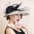 ieftine Pălării Party-artistic / retro elegant sinamay / abaca fascinators / palarii cu pene / floare / tul 1 buc toamna nunta / petrecere / seara / cana melbourne