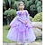 preiswerte Kostüme aus Film und Fernsehen-Vintage Kleid Partykostüm Prinzessin Ziemlich Mädchen Feste Farbe Kinder Kleid