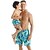 cheap Family Matching Outfits-Dad and Son Swimsuit Sports &amp; Outdoor Graphic Leaf Print Blue Casual Matching Outfits / Fall / Summer / Vacation