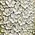 billige Blomstrede/botaniske malerier-oliemaleri 100% håndlavet håndmalet vægkunst på lærred moderne paletkniv maleri hvid blomme blomster dekoration indretning rullet lærred uden ramme ustrakt