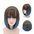 22年 女性のための青いかつらきちんとした前髪のオンブルウィッグと短いストレートボブウィッグ コレクション 21 99