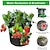 cheap Plant Grow Bags-Gardening Strawberry Plant Grow Bag Home Garden Portable Potato Flower Vegetable Planter Pot