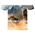 abordables niño 3d camisetas-Chico 3D Animal Bloque de color Camiseta Manga Corta Impresión 3D Verano Ropa de calle Básico Poliéster Niños 3-12 años Escuela Exterior Diario