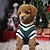 economico Maglioni-Cane Gatto Maglione Gilet Carino Adorabile Inverno Morbido Confortevole Abbigliamento Quotidiano Casual Quotidiano Abbigliamento per Cani for Husky Labrador Malamute dell'Alaska Golden Retriever
