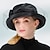 billiga Partyhatt-mode eleganta sammetsfascinatorer / hattar med pilbåge / satin bowknot / tyll 1 st speciellt tillfälle / fest / kväll / kvinnors dag headpiece