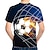 Χαμηλού Κόστους αγορίστικα 3d μπλουζάκια-Αγορίστικα 3D Συνδυασμός Χρωμάτων Ποδόσφαιρο Κοντομάνικη μπλούζα Κοντομάνικο 3D εκτύπωση Καλοκαίρι Ενεργό χαριτωμένο στυλ Κομψό στυλ street Πολυεστέρας Ρεϊγιόν Παιδιά 3-12 χρόνια