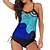 cheap Tankinis-Women&#039;s Swimwear Tankini 2 Piece Plus Size Swimsuit Open Back Print Floral Blue Black Red Camisole Strap Bathing Suits New Vacation Fashion / Modern / Padded Bras