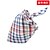 cheap Bandanas &amp; Hats-Dog Cat Bandanas &amp; Hats Vintage Fashion Cute Stylish Ordinary Dog Clothing
