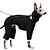preiswerte Overall-Hund Overall Mode Stilvoll Gewöhnlich Klassicher Stil Retro Vintage Herbst Winter Warm Mode Sport im Freien Hundebekleidung for Windhund