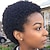 お買い得  人毛キャップレスウイッグ-アフロ変態カーリーウィッグショートカットウィッグ黒人女性のための100％ブラジルカーリー人間の髪の毛ウィッグフルマシンウィッグショートピクシーカットウィッグ