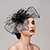 preiswerte Faszinator-Feder / Netz Fascinatoren / Hüte / Kopfbedeckung mit Feder / Kappe / Blume 1 PC Hochzeit / Pferderennen / Melbourne-Cup Kopfschmuck