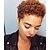 22年 女性のためのブロンドのかつら女性のための短いアフロカーリーヘアカット黒人女性のためのアフリカ系アメリカ人の短いウィッグ短い茶色の巻き毛の髪型短い茶色のかつら コレクション 18 69