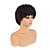 cheap Black &amp; African Wigs-Brown Wigs for Women Short Kinky Curly Wave Bob Wigs Wigs for Women 6 Inch, 1 B