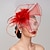 ieftine Pălării &amp; Fascinatoare-pene / plasă fascinatoare căciulă Kentucky Derby / cască cu pene / șapcă / floare 1 buc nuntă / petrecere / seară / cană melbourne