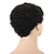 cheap Black &amp; African Wigs-Black Wigs for Women Synthetic Wig Afro Short Curly Wig Black Short Wigs Natural Comfortable Synthetic Wigs