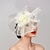 cheap Fascinators-Feathers / Net Fascinators Kentucky Derby Hat/ Headpiece with Feather / Cap / Flower 1 PC Wedding / Party / Evening / Melbourne Cup Headpiece