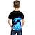 Недорогие 3d футболки мальчика-Дети Мальчики Футболка Дракон на открытом воздухе 3D печать С короткими рукавами Активный 3-12 лет Весна Синий