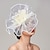 cheap Fascinators-Feathers / Net Fascinators / Hats / Headpiece with Feather / Cap / Flower 1 PC Wedding / Horse Race / Melbourne Cup Headpiece
