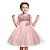 cheap Party Dresses-Kids Little Girls&#039; Dress Floral Solid Colored Flower Tulle Dress Party Sequins Layered Purple Fuchsia Pink Sleeveless Princess Sweet Dresses Fall Spring Slim 3-12 Years