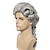 Недорогие Мужские парики-средневековый парик колониальный косплей парик для адвоката серые парики длинные вьющиеся волнистые парики для мужчин