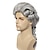 cheap Mens Wigs-Medieval Wig Colonial Cosplay Wig for Lawyer Grey Wigs Long Curly Wavy Wigs for Men