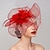 cheap Fascinators-Feathers / Net Fascinators Kentucky Derby Hat/ Headpiece with Feather / Cap / Flower 1 PC Wedding / Horse Race / Melbourne Cup Headpiece