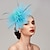 abordables Chapeaux et coiffes-plumes / fascinateurs en filet chapeau derby kentucky / casque avec plume / casquette / fleur 1 pc mariage / course de chevaux / casque de coupe de Melbourne