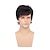 cheap Mens Wigs-Black Wigs for Men Synthetic Wig Straight Wig Black Synthetic Hair Men‘S Black