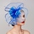 cheap Fascinators-Feathers / Net Fascinators Kentucky Derby Hat/ Headpiece with Feather / Cap / Flower 1 PC Wedding / Party / Evening / Melbourne Cup Headpiece