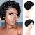 cheap Black &amp; African Wigs-Black Wigs for Women Short Afro Kinky Curly Wigs for Women Heat Resistant Synthetic Hair For Daily Party