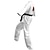 cheap Movie &amp; TV Theme Costumes-Cobra Kai Karate Kid Outfits Masquerade Men&#039;s Women&#039;s Boys Movie Cosplay Sports Cosplay White Top Pants Waist Belt Carnival Children&#039;s Day Masquerade Polyester